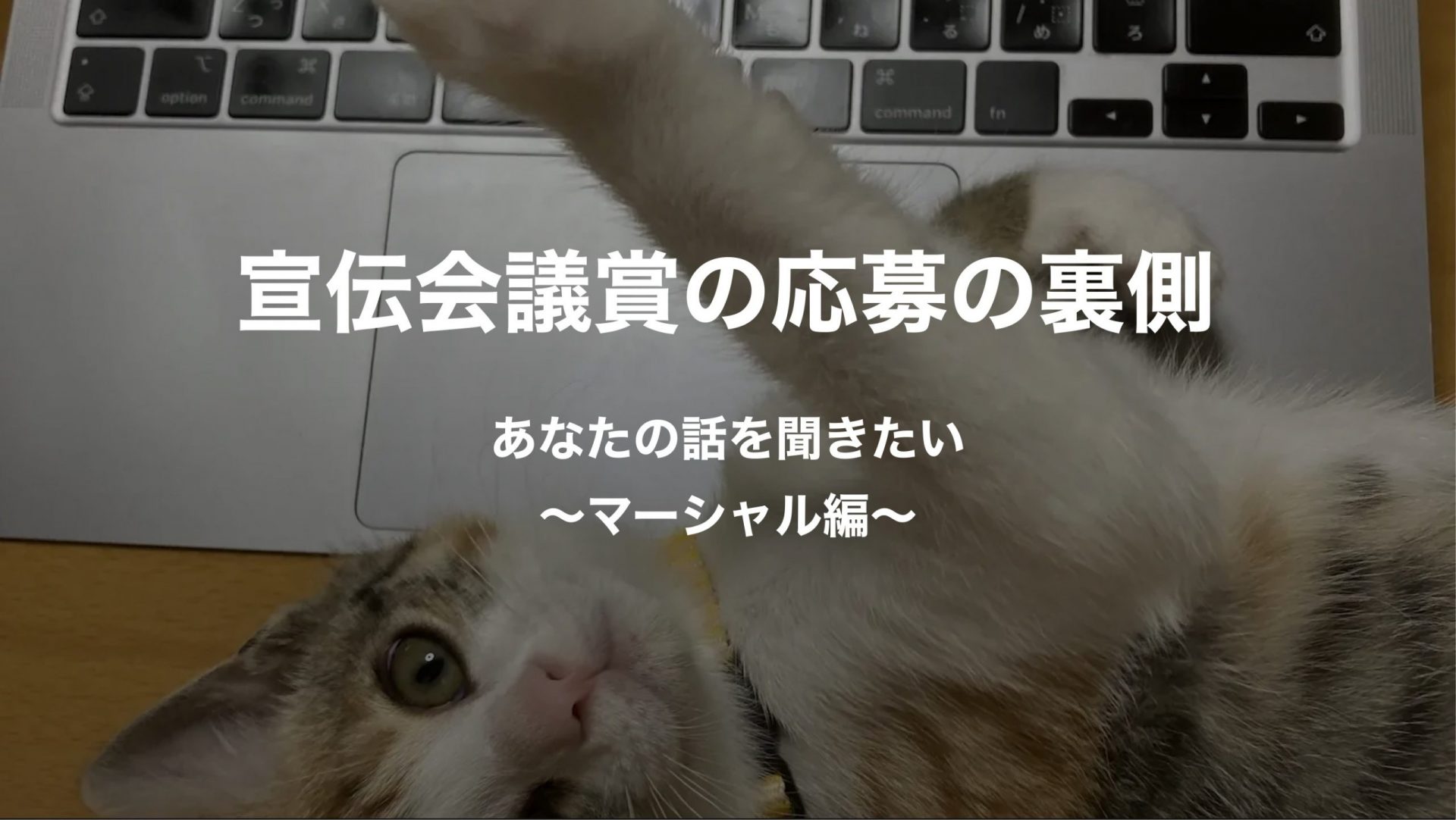 遅咲きの天才あらわる！！